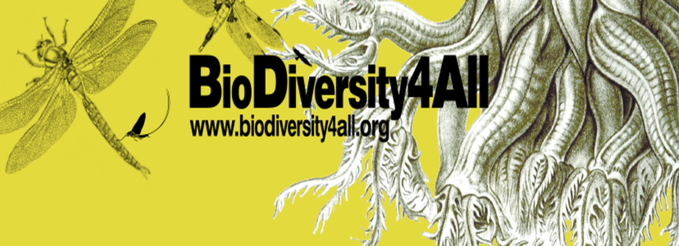 Biodiversity4All